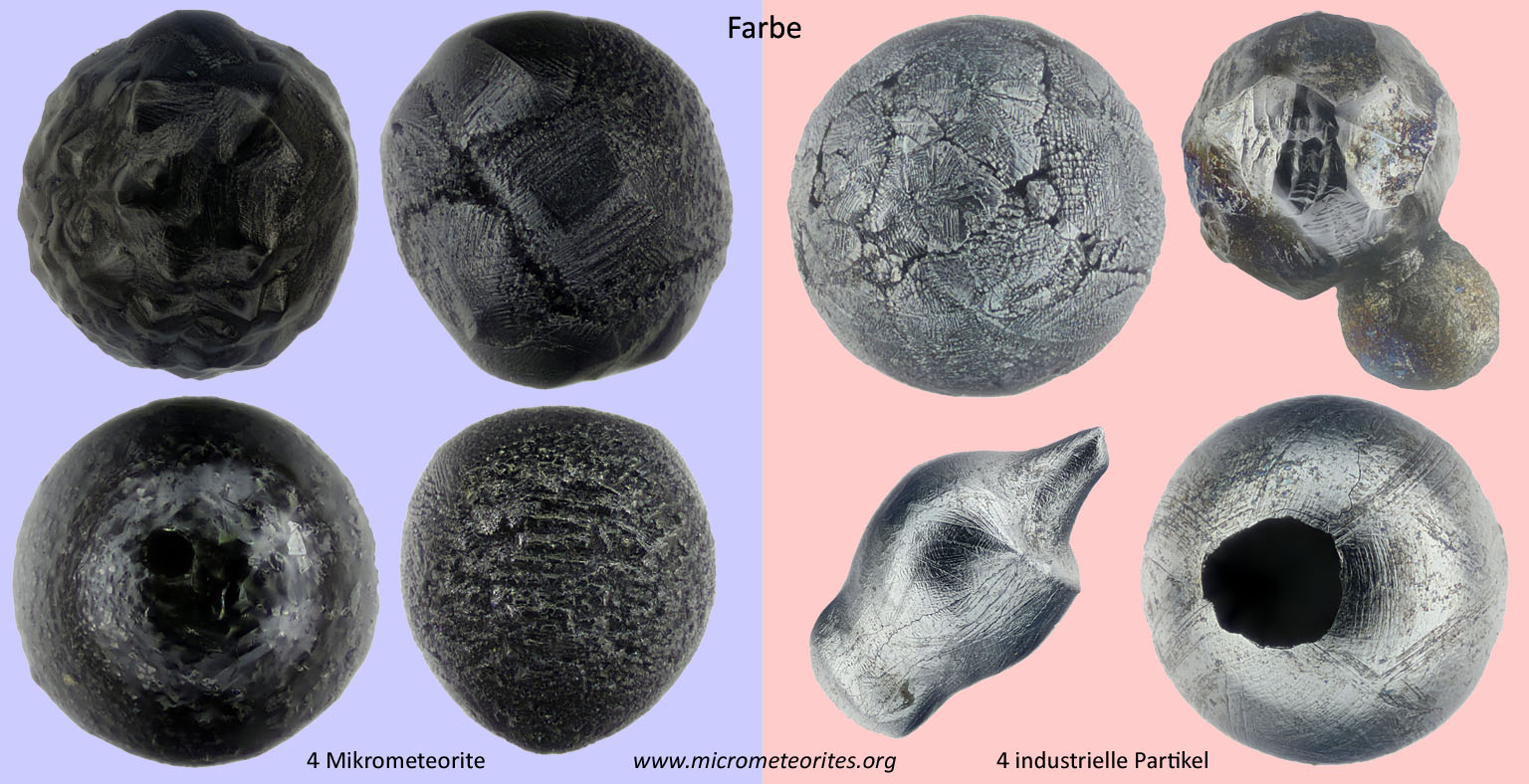7 Schritte zum eigenen Mikrometeorit Schritt 5 Die Probe nach