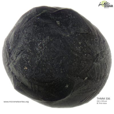 THMM336