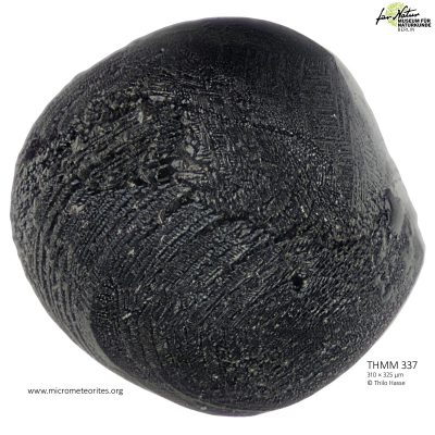 THMM337