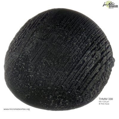 THMM338