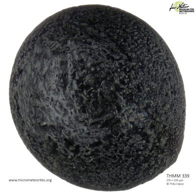 THMM339
