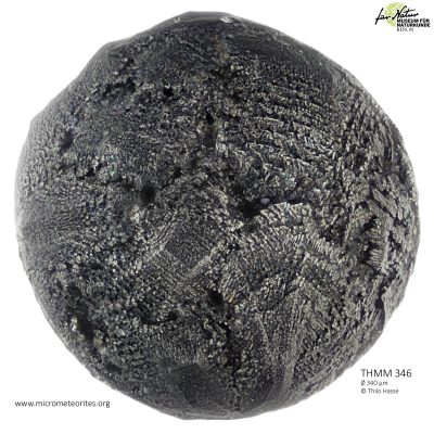 THMM346