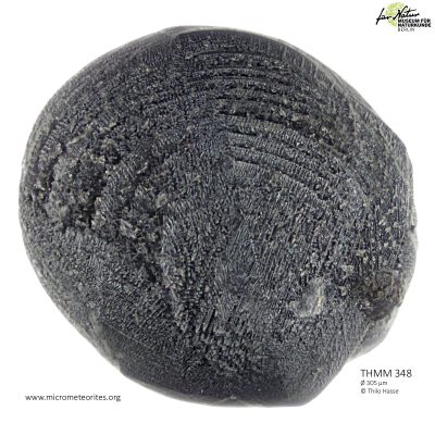 THMM348