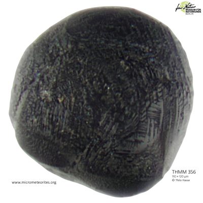 THMM356