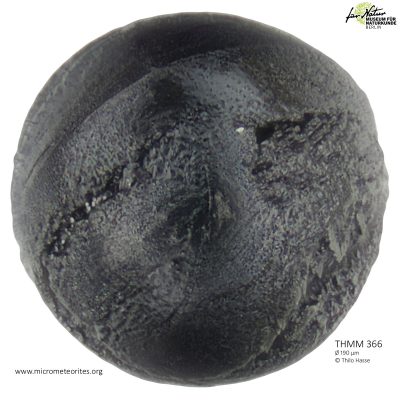 THMM366