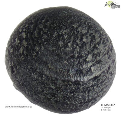 THMM367