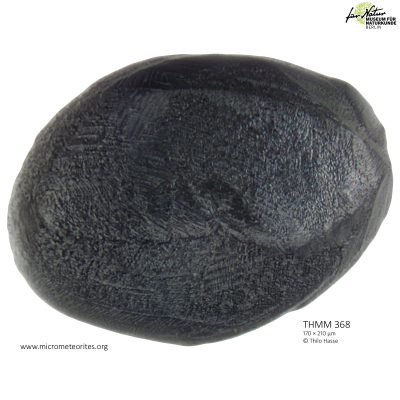THMM368