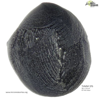 THMM376