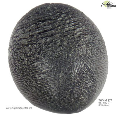 THMM377