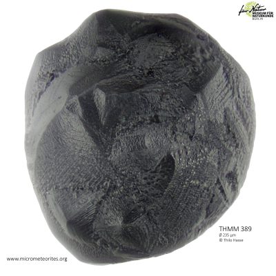 THMM389
