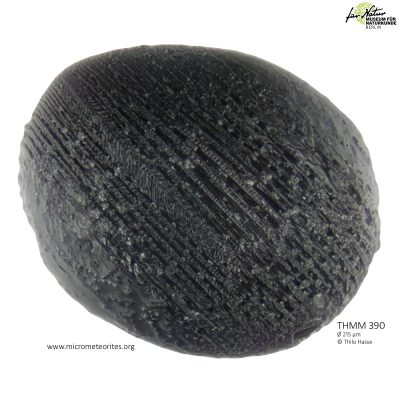 THMM390