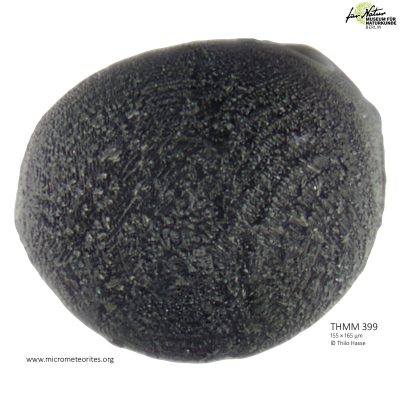 THMM399