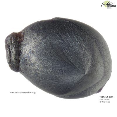 THMM401