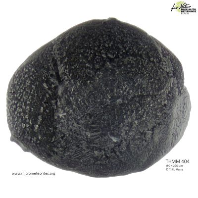 THMM404