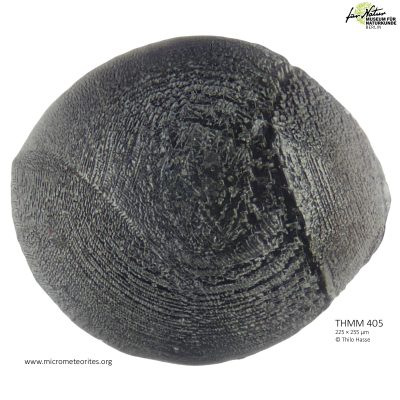 THMM405