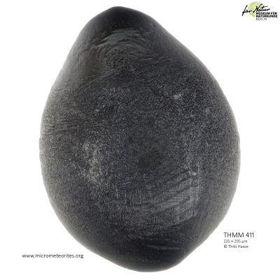 THMM411