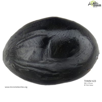 THMM423