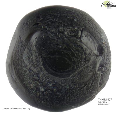 THMM427