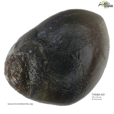 THMM431