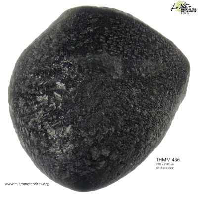 THMM436