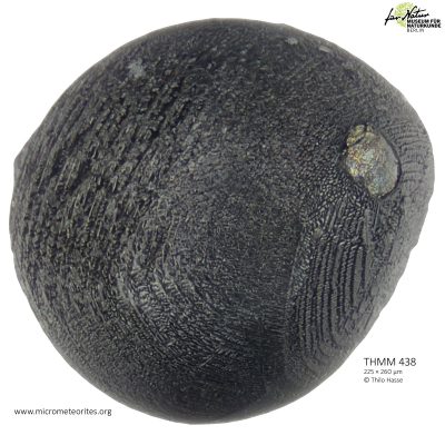 THMM438