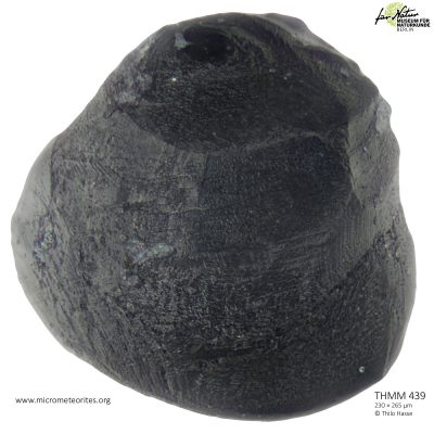 THMM439