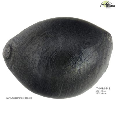 THMM442