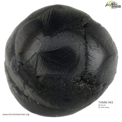 THMM443