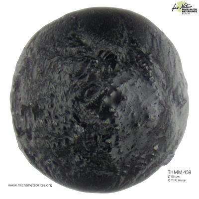THMM459