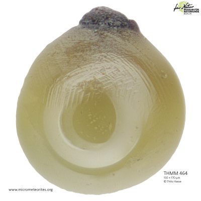 THMM464