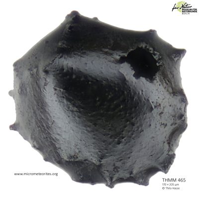 THMM465