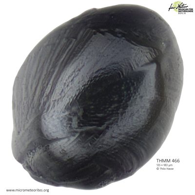 THMM466