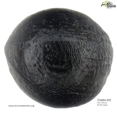 THMM479