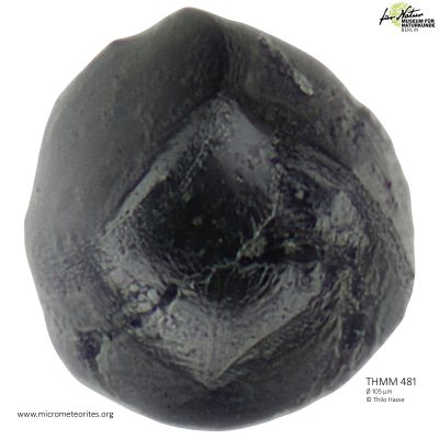 THMM481