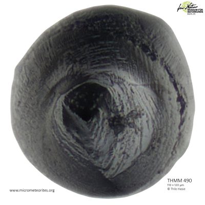 THMM490