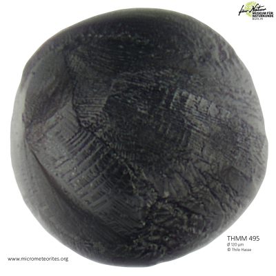 THMM495