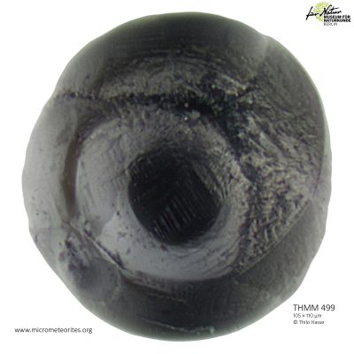 THMM499
