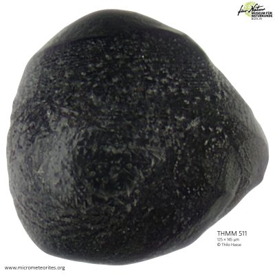 THMM511