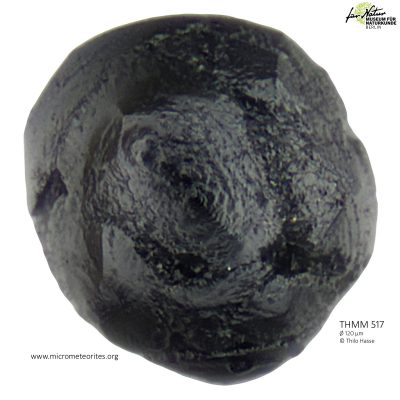 THMM517