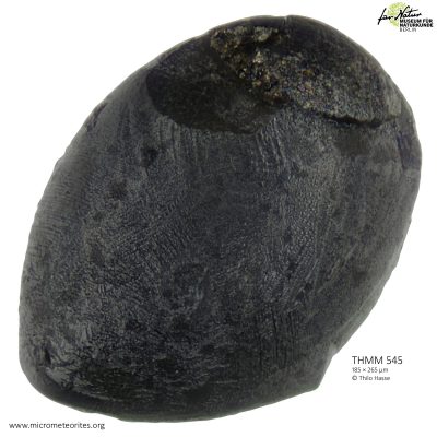 THMM545
