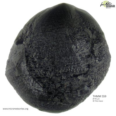 THMM559