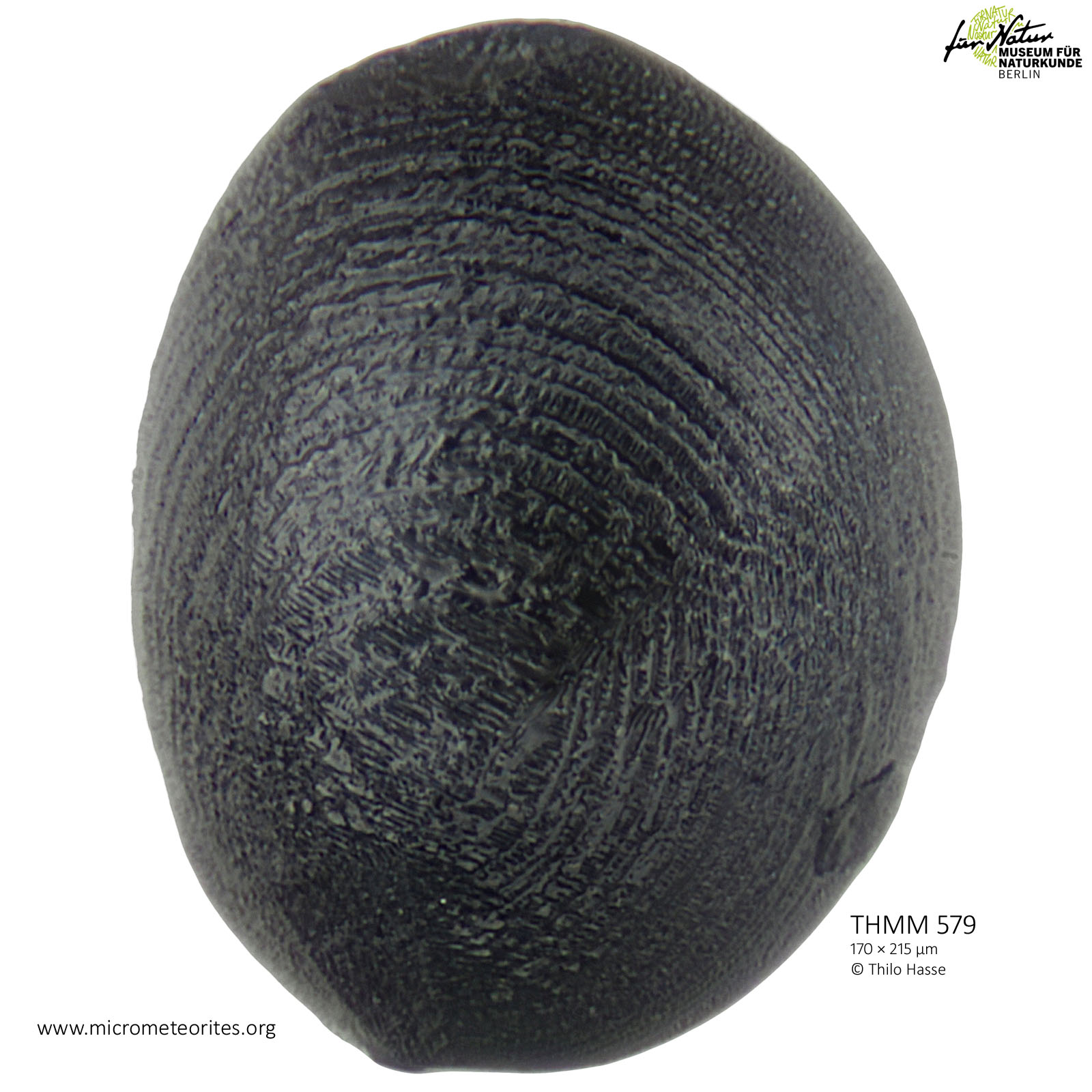 THMM579