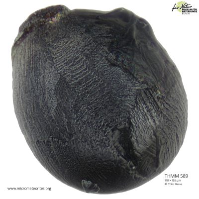 THMM589