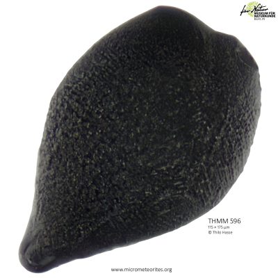 THMM596