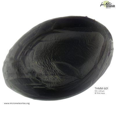 THMM601