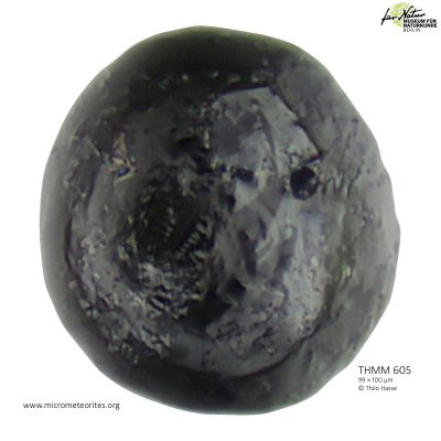 THMM605