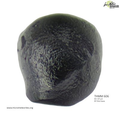 THMM606