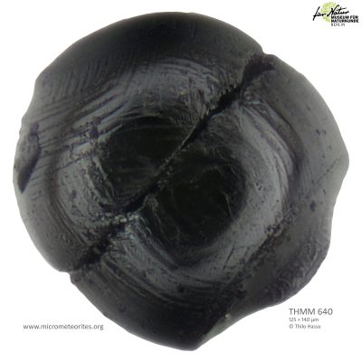 THMM640