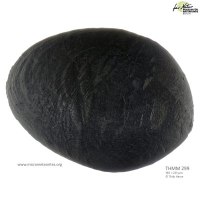 THMM299