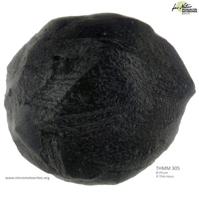 THMM305